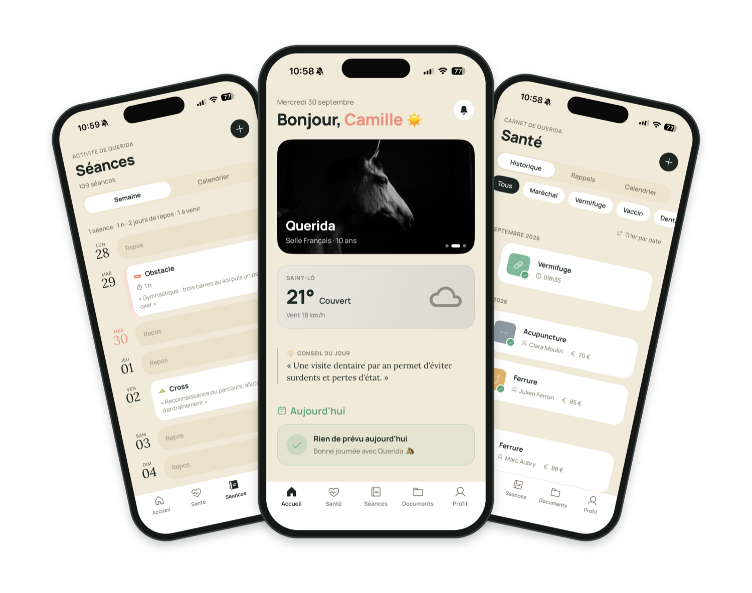 Stableo sur iPhone : la semaine de séances, l'accueil et le carnet de santé